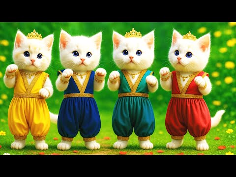 बिल्ली  डांस,💃| Cutest Cat videos funny dance 🤣 💃 Videos for cats #funny #dancingcat #cat #kitten 