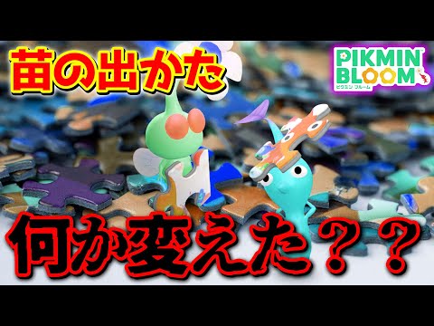 【ピクミンブルーム】苗の出かた、何か変えた？？【Pikmin Bloom】