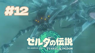 特大サイズの爬虫類はやめてほしい【ゼルダの伝説TotK #12】