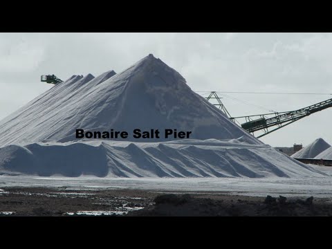 Driving to the Bonaire Salt Pier