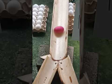 Ang galing niya #video #trending #funny #fyp #viral