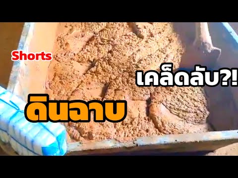 บ้านดิน-Earth-House-ดินฉาบ-ใส่ บ้านดิน-Earth-House-ดินฉาบ-ใส่