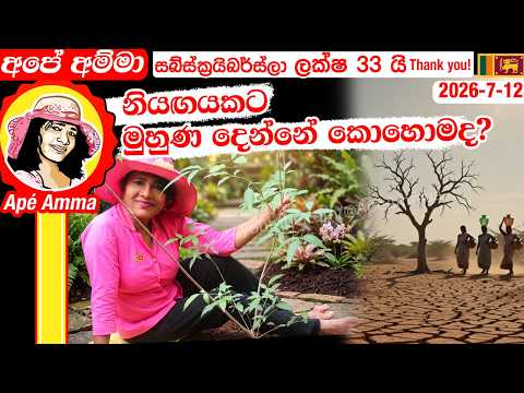 නියඟයකට මුහුණ දෙන්නේ කොහොමද? how to face extreme weather/ drought by Apé Amma