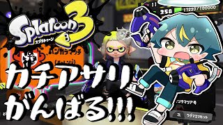 【 スプラトゥーン3】今シーズン最後のガチアサリ🐚をがんばるカワラベエクマVT【個人勢VTuber／河童エクマ】
