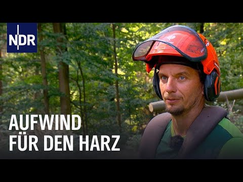 Wandern, Wald und Aufwind - Die jungen Wilden im Harz | die nordstory | NDR