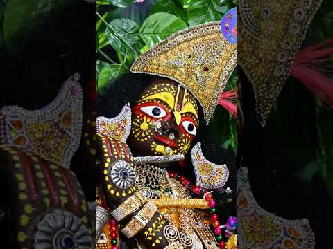 राधा दामोदर भगवान गोपाष्टमी के दर्शन 🥰🥰#वृंदावनधाम #राधे_कृष्णा