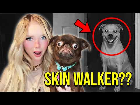 PUPPY REACTS TO SCARY VIDEOS (*PART 5*)