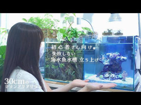 30cmの小型水槽で失敗しない 初心者さん向け海水魚水槽立ち上げ❀アクアリウム Marine aquarium.