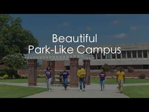 ADMISSIONS SHORT MAIN with SLATE HD 720p