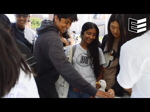 Students crowded in the rally court to spend time with animals to relieve academic stress

Subscribe to El Estoque: / @mvhselestoque
----------
Visit our website: https://elestoque.org/
Read our latest issue: https://issuu.com/elestoque
Support our work: https://elestoque.org/advertise/
Follow us:
Instagram: / elestoque
TikTok: / el.estoque