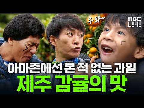 아마존에는 없는 처음 맛보는 <strong>감귤</strong>, 야물루 가족의 반응은? #글로벌홈스테이집으로 #MBClife MBC140313방송