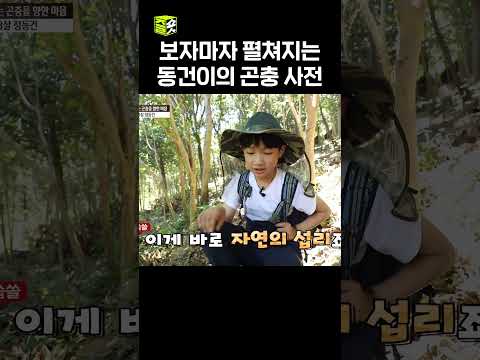 익충이어라 #영재발굴단  #우와한비디오 #우와비 #shorts