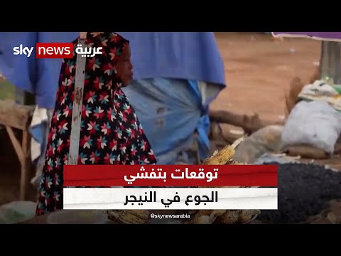 الأمم المتحدة: أزمة الانقلاب في النيجر فاقمت انعدام الأمن الغذائي