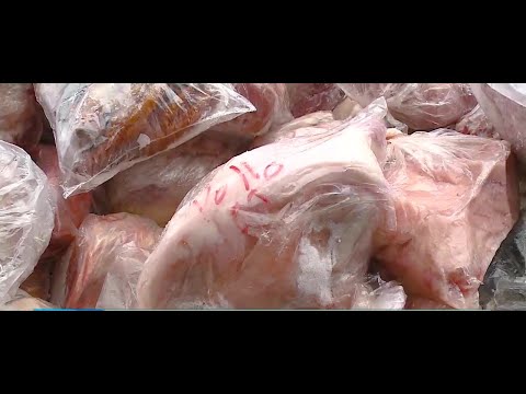 Autoridades decomisan 350 kilos de carne de dudosa procedencia en el Mercado Borbón