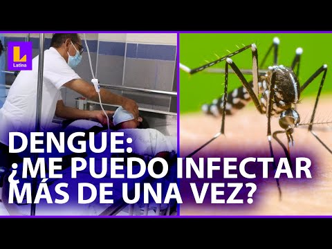 Dengue: ¿me puedo infectar más de una vez?