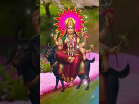 જ્ય મેલડીમાં 🔱#reels#new#status#Gujarati#dayro#viralvideo#meldimaa#shortvideo