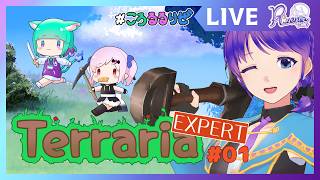 【Terraria】EXPERT 01 再び五徳組はテラリアの世界へ！【個人Vtuber】#Terraria #リゼニライブ