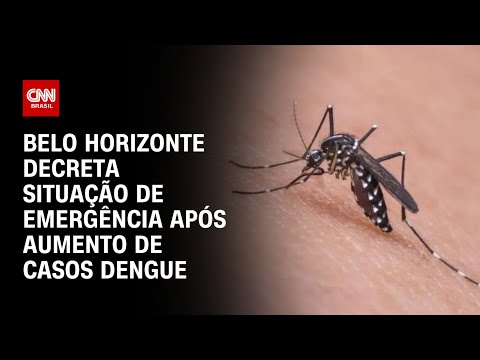 Belo Horizonte decreta situação de emergência após aumento de casos dengue | AGORA CNN