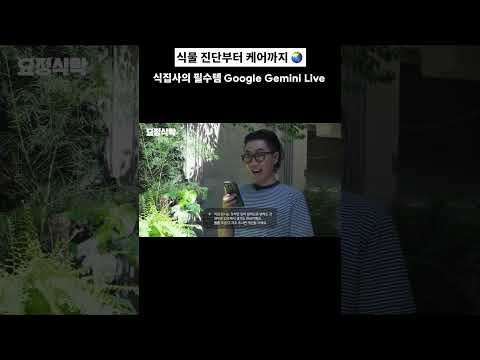 Google Gemini | 바쁜 일상 속 식물도 잘 돌보는 요정의 비결 🌿🧀