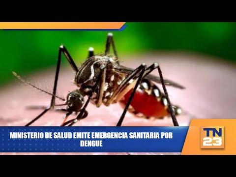 Ministerio de Salud emite emergencia sanitaria por dengue