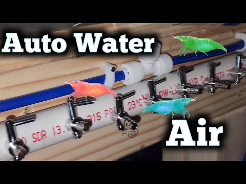 Automatic Water Fill and Air System for Shrimp Tan Auto water fill and air system for my new shrimp tanks.

Check out my website
http_//markshellyaquat