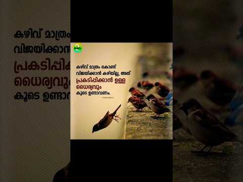 *°•Only TALENT_Cannot WIN..🧿🗣️°•#talent#win#shorts#youtube#motivation#Pls Subscribe 💗##