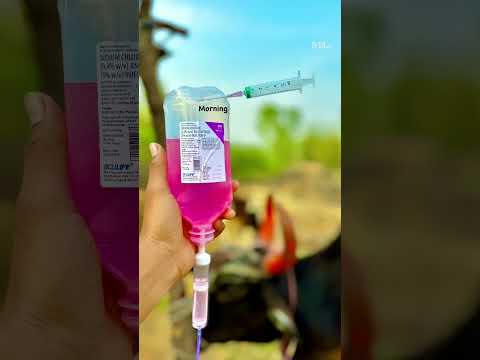 animal tretment !1 animal doctor !1 animal lover !1 #animals #animalavengers