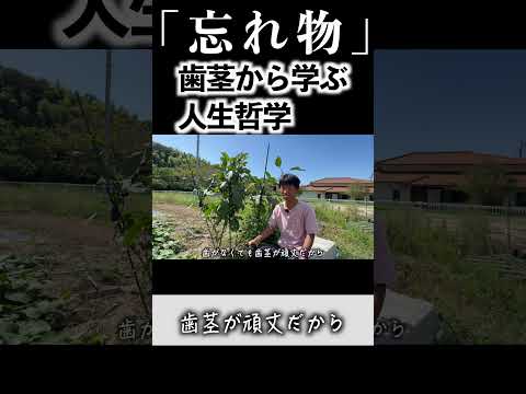 おばあちゃんの忘れ物… #休学して島暮らし