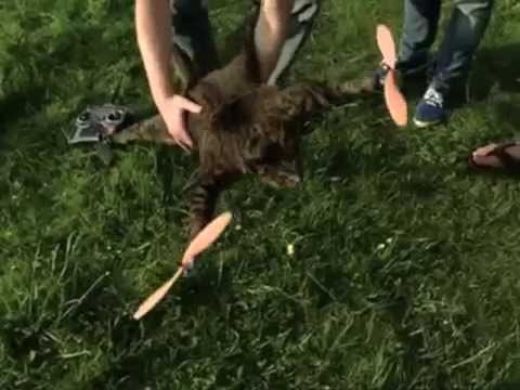 CatCopter