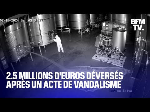 2.5 millions d'euros de vin déversés après un acte de vandalisme dans une cave en Espagne