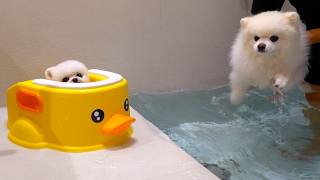 動画サムネイル