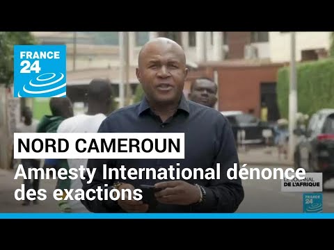 Nord Cameroun : Amnesty International dénonce des exactions des deux camps • FRANCE 24