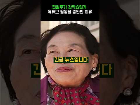 전원주가 갑작스럽게 <strong>유튜브</strong> 활동을 중단한 이유