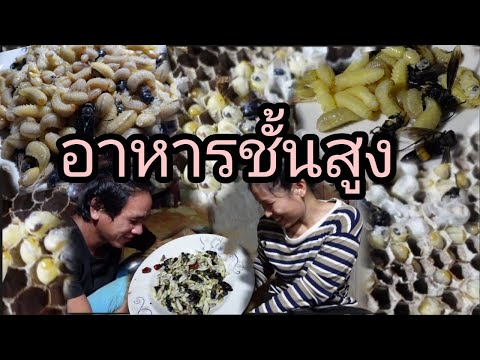 อาหารชั้นสูงจากธรรมชาติเข้าครั อาหารชั้นสูงจากธรรมชาติเข้าครั