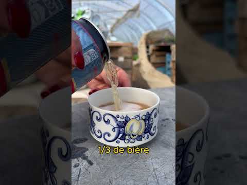 piège à frelons asiatiques