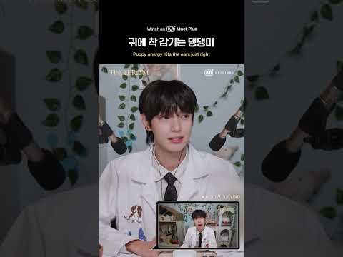 귀에 착 감기는 댕댕미ㅣ팅글룸ㅣTingle Room