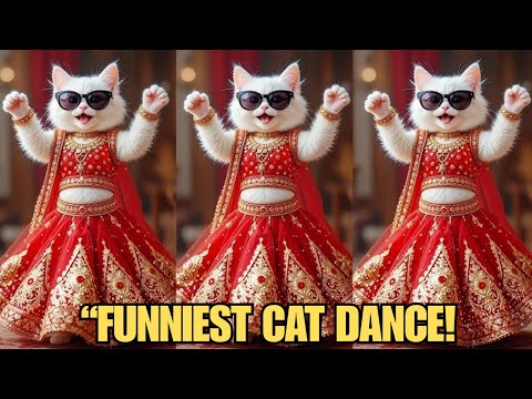 Cutest Cat Dance Ever! 🐱💃 Funny Cat Dance Video 2025 | Viral Cat Dance Show #funny @SunnyCatDance