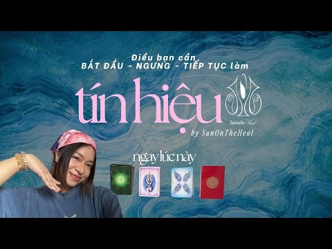 Điều bạn cần bắt đầu - ngưng - tiếp tục làm 🔮 chọn tụ ☀️ timeless tarot, oracle #traibaichung