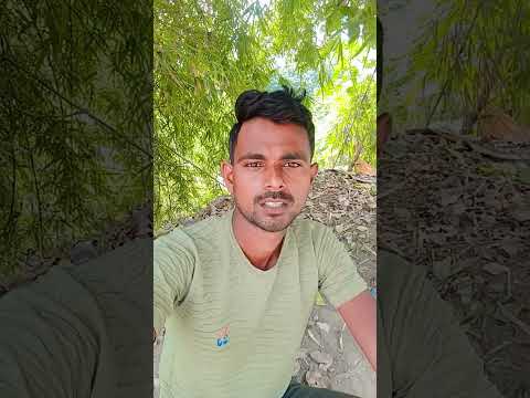 Hindi _short_ video_###