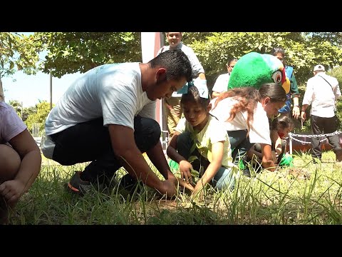 Nicaragua lanza campaña de reforestación tras el paso del huracán Julia