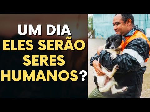 EVOLUÇÃO E ALMA DOS ANIMAIS ESPIRITISMO I Canal Espírita Responde #110