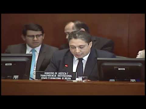 Intervención del Ministro de Justicia  Hector Arce Zaconeta en OEA