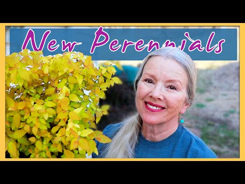 Spring Arrives! New Perennials, Seedling Update, Lavender, More!