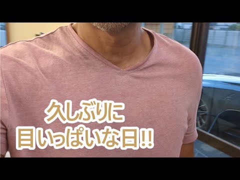 ゴールデンレトリバーのティトと忙しい一日を楽しむ サムネイル
