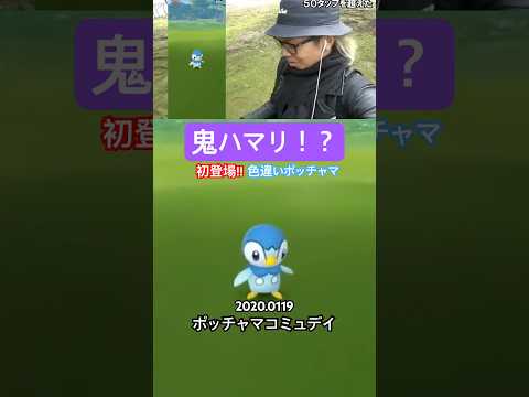 【未実装!?】あれ…?色違いのポッチャマが全然いないぞ…?#ポケモンgo #色違い #ポッチャマ #コミュデイ #コミュニティデイ #shorts