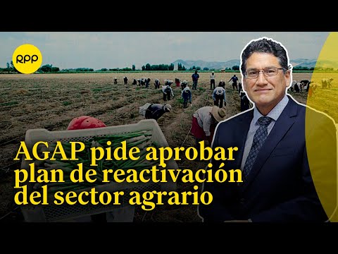 AGAP pide al Gobierno aprobar el plan de reactivación del sector agrario