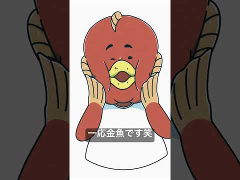 金魚のセルフビンタ #かわいい #イラスト #リクエスト募集中 #illustration #drawing #金魚 #ビンタ