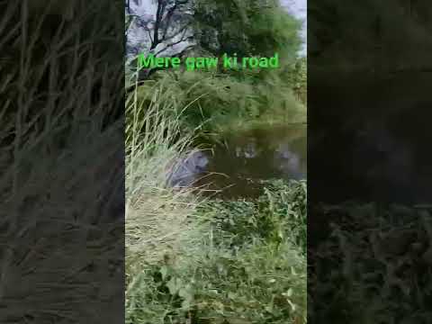 #trending #desiviilagelifetstyle #farming