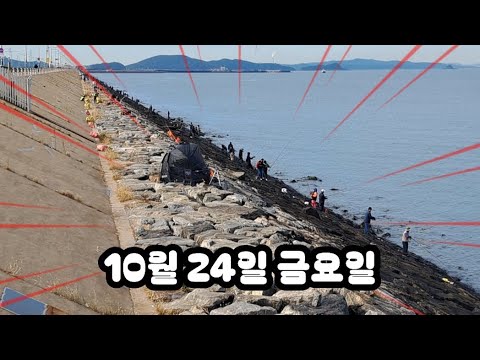 10월 24일 시화방조제 실제상황 많은 조사님들 열심히 던지고 잡고 힐링하고 계십니다