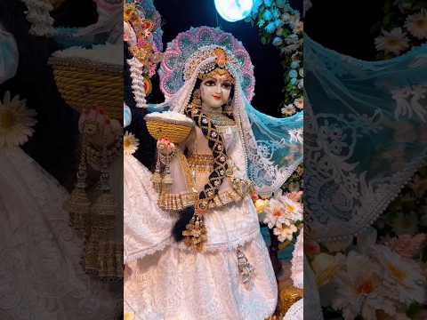 🌸 Radhe Radhe Beautiful Status Video 🙏 | 💫 Radhe Krishna Love Status | Bhakti Vibes